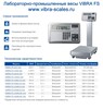 ������������� ���� ViBRA FS-100K1G-i02, 2 ������� ����� ��������, 100 ��